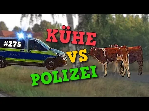 LA POLICE attrape les VACHES et la moto IDIO*FR | Communauté Cam Épisode 275
