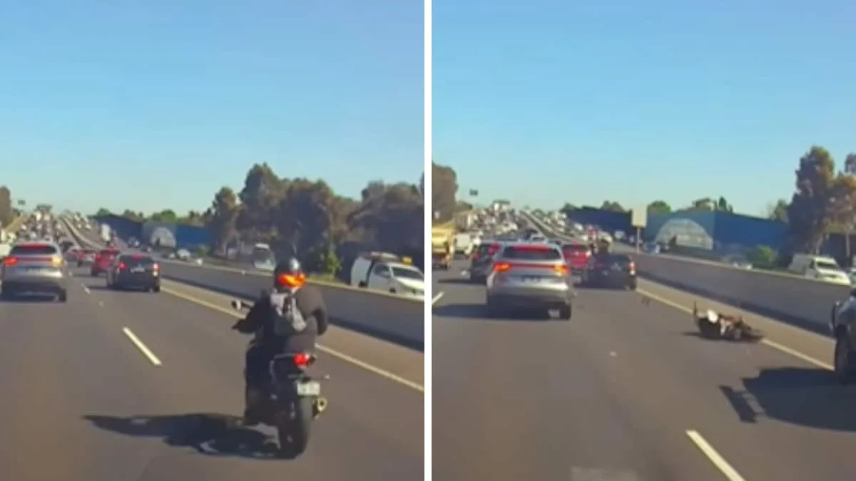 Regarder : Une Dashcam capture un motard volant sur le toit d’une voiture après un horrible accident