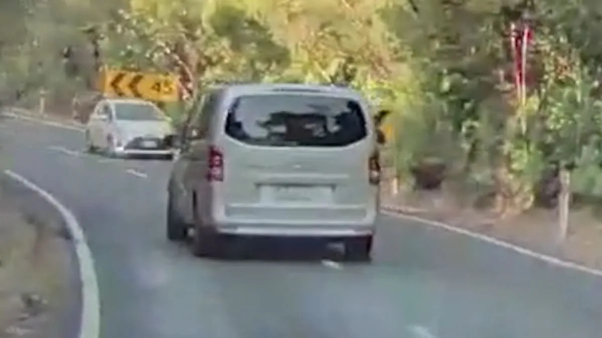 Une Dashcam capture une camionnette de location faisant un écart sur la route de l’ouest d’Auckland, évitant de peu une collision frontale